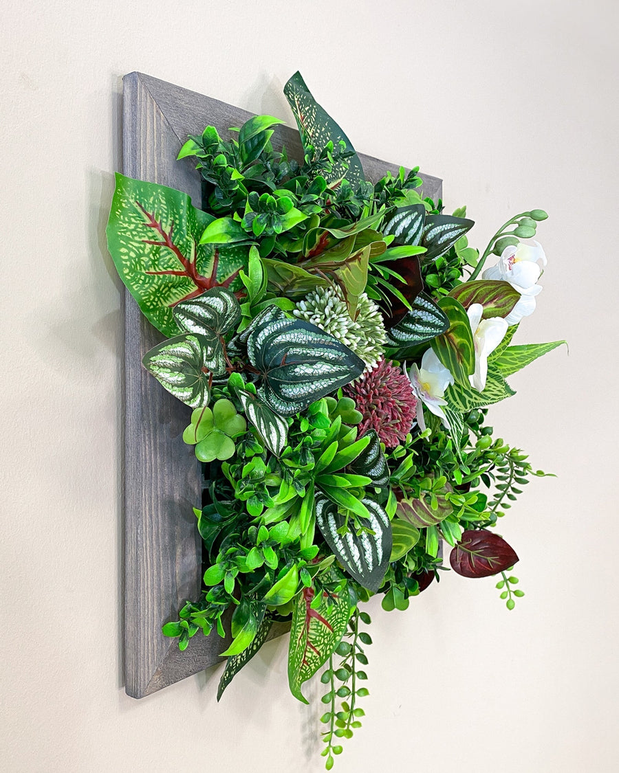 Tiny Frame Bahia – Realtouch im Fichtenholzrahmen