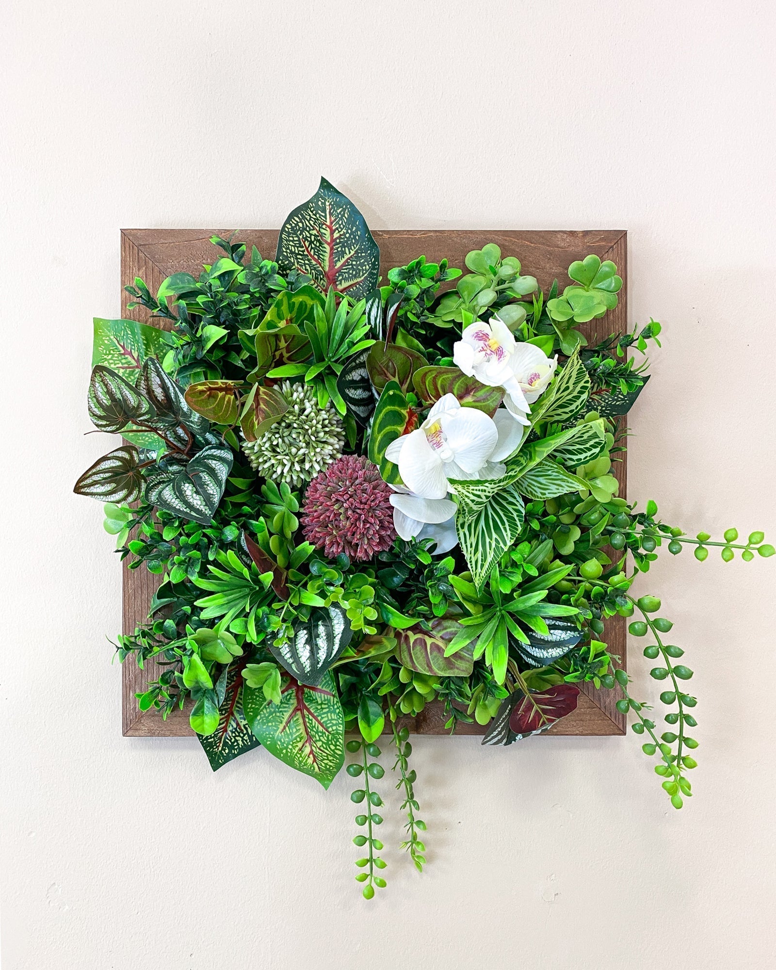 Tiny Frame Bahia – Realtouch im Fichtenholzrahmen