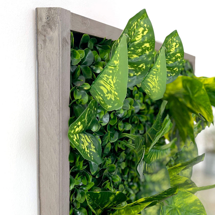 Pflanzenwand Cali – Realtouch im Fichtenholzrahmen