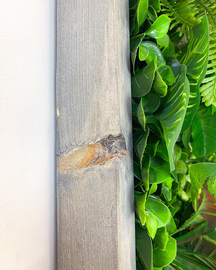 Pflanzenwand Cali – Realtouch im Fichtenholzrahmen