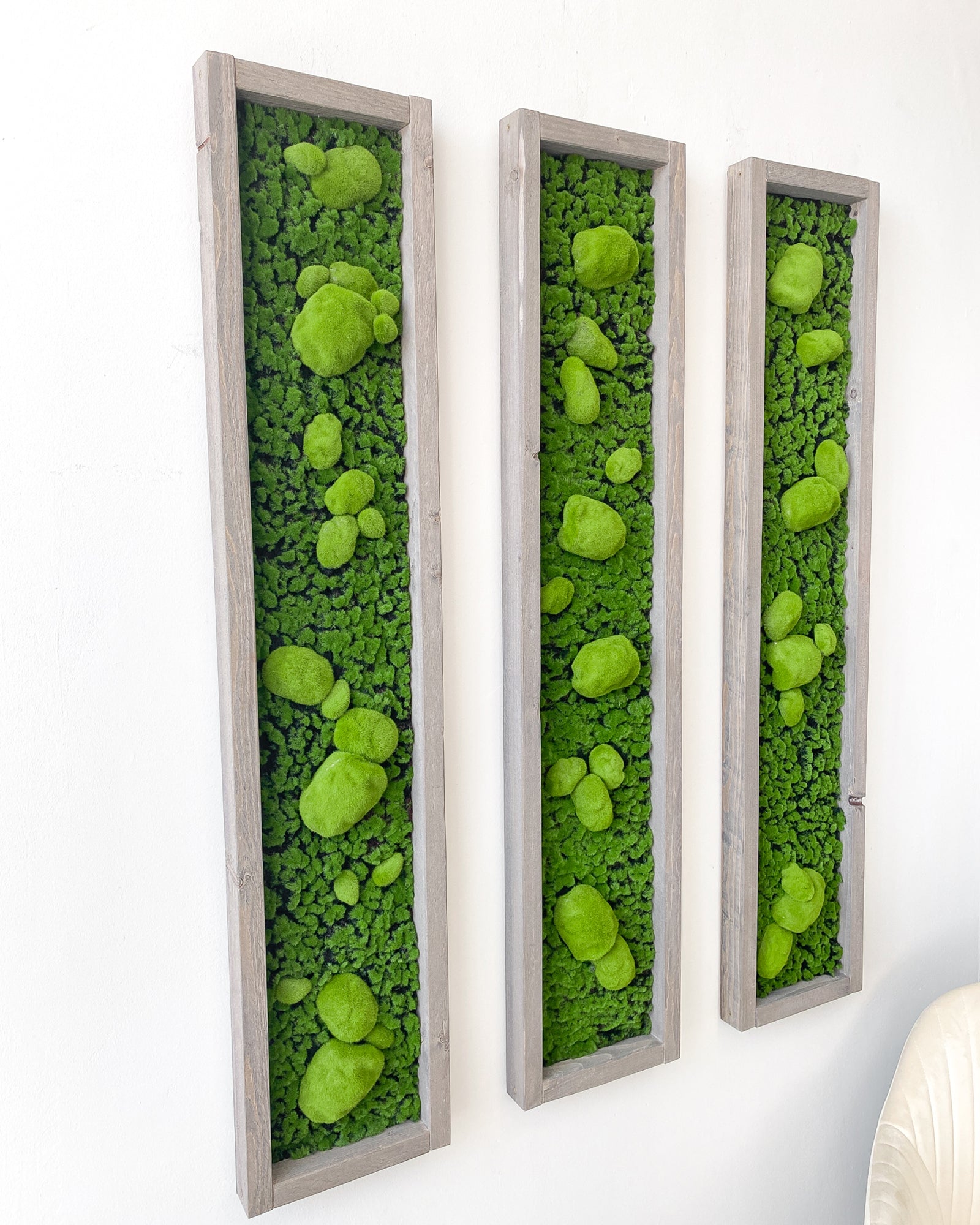 Mooswand Green Buns – Realtouch im Fichtenholzrahmen