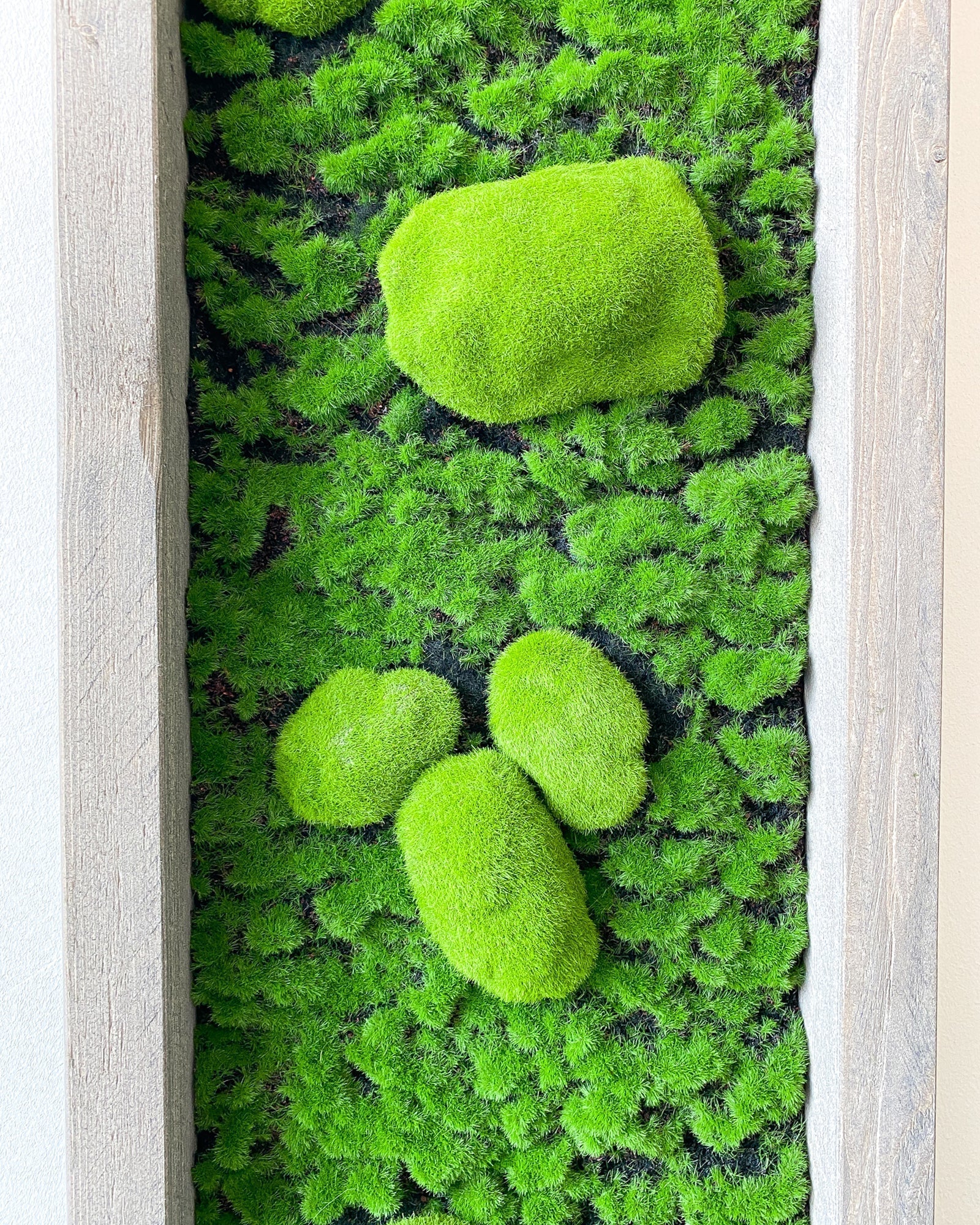 Mooswand Green Buns – Realtouch im Fichtenholzrahmen
