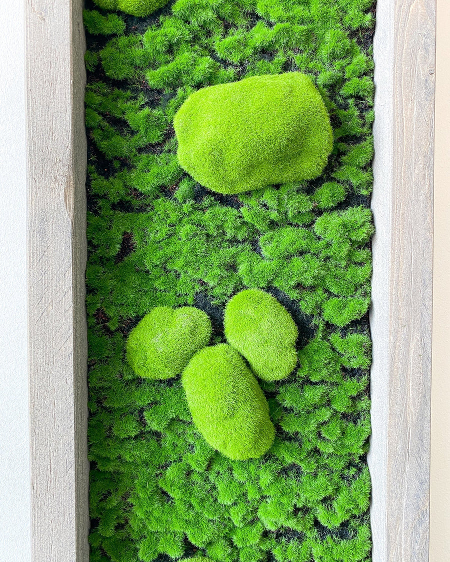 Mooswand Green Buns – Realtouch im Fichtenholzrahmen