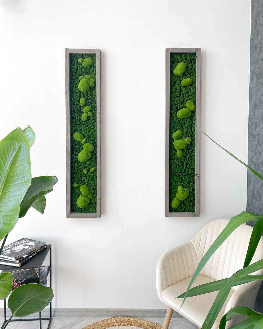 Mooswand Green Buns – Realtouch im Fichtenholzrahmen