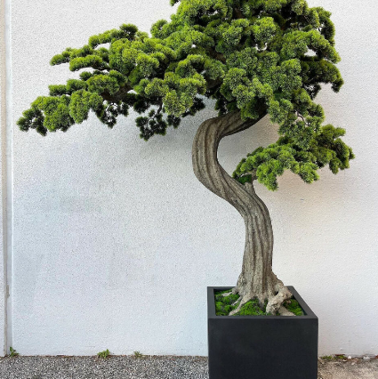 Bonsai Gross Block-M – Kunstbonsai im Design-Pflanzgefäß