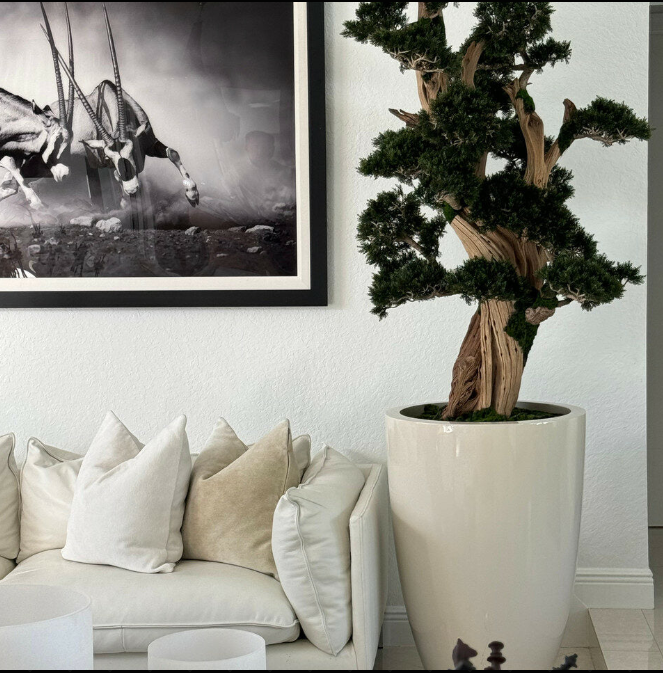 Bonsai Gross Brannan – Kunstbonsai im Design-Pflanzgefäß