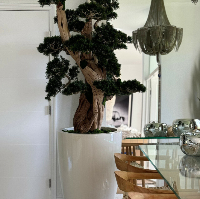 Bonsai Gross Brannan – Kunstbonsai im Design-Pflanzgefäß