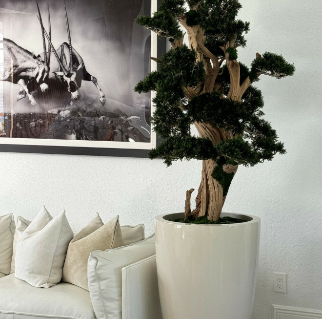 Bonsai Gross Brannan – Kunstbonsai im Design-Pflanzgefäß