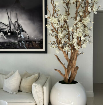 Magnolienbaum Weiss 76 cm – Florales Magnolien-Arrangement
