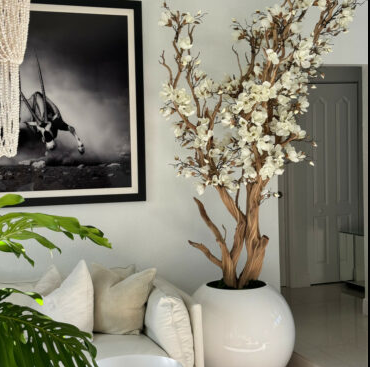 Magnolienbaum Weiss 76 cm – Florales Magnolien-Arrangement