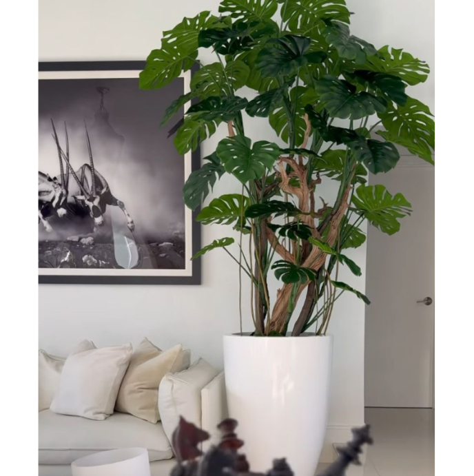 Monstera Hochglanz Weiss – Realtouch Zimmerpflanze im Topf