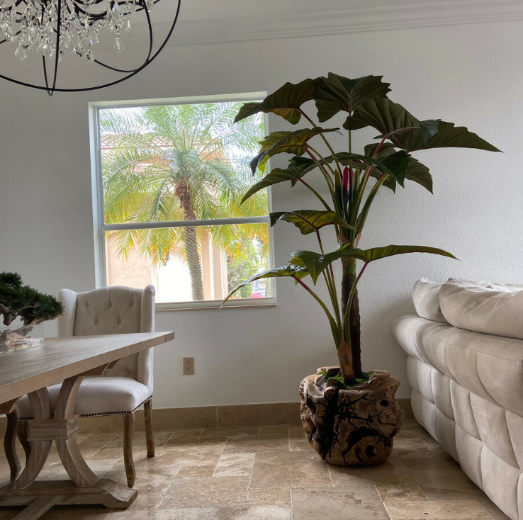 Teakholzschale Alocasia – Realtouch Zimmerpflanze im Topf