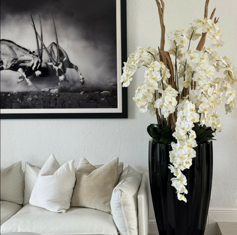 Orchideen Gelb San Jose Schwarz – Realtouch Orchideen-Arrangement