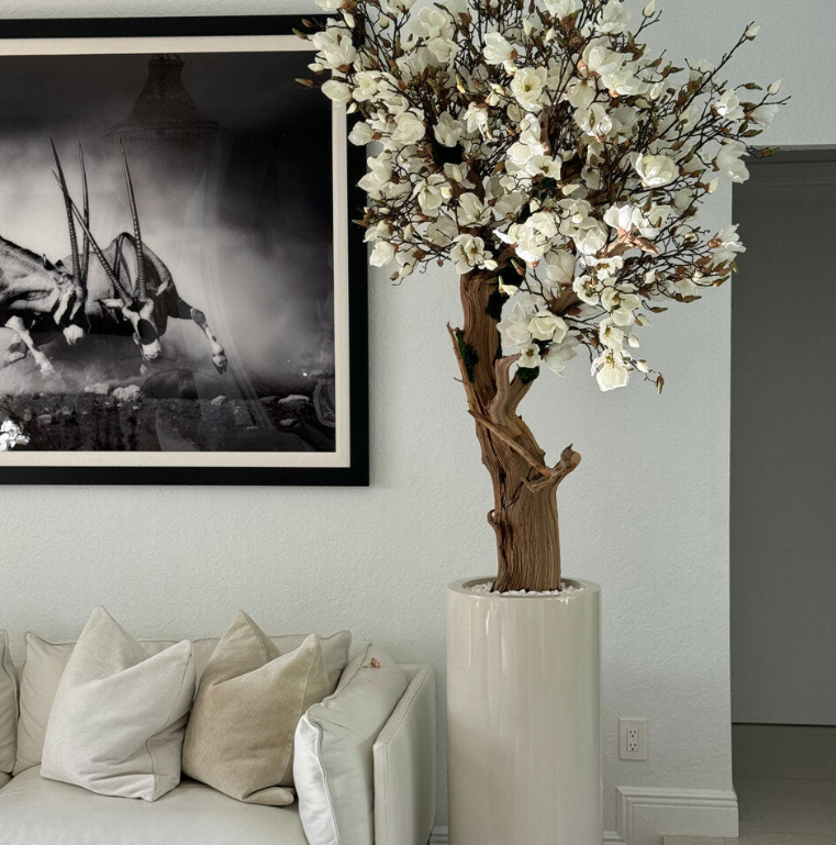 Magnolienbaum Weiss St. Tropez Beige – Florales Magnolien-Arrangement