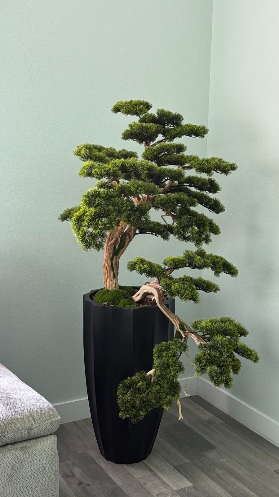 Bonsai Schwarz 150 cm – Kunstbonsai im Design-Pflanzgefäß