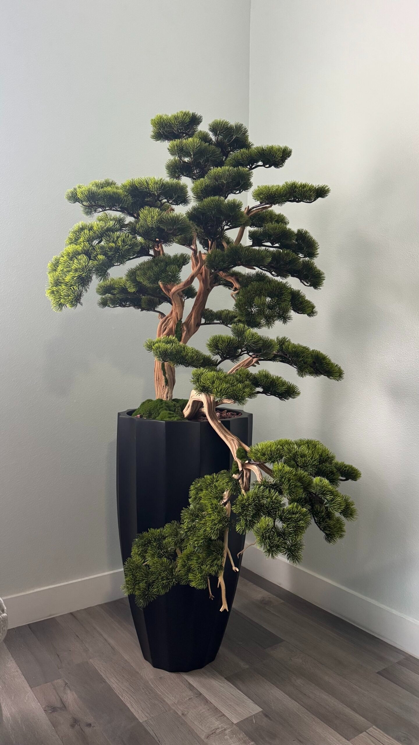 Bonsai Schwarz 150 cm – Kunstbonsai im Design-Pflanzgefäß