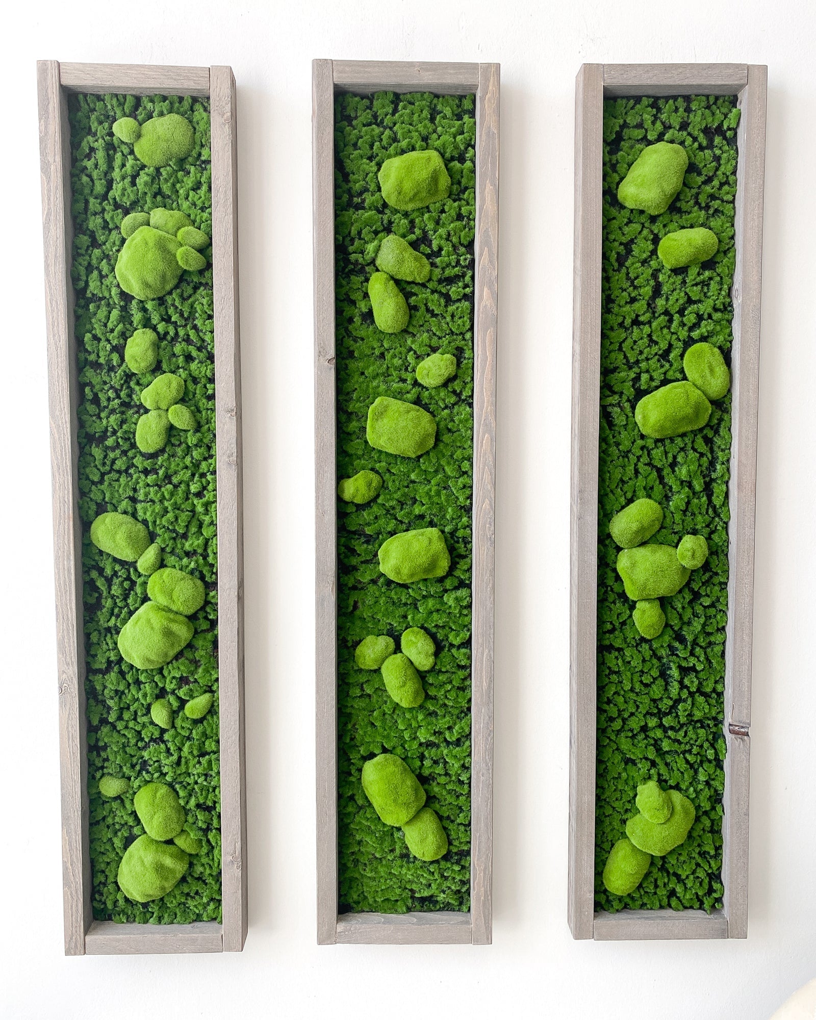 Mooswand Green Buns – Realtouch im Fichtenholzrahmen