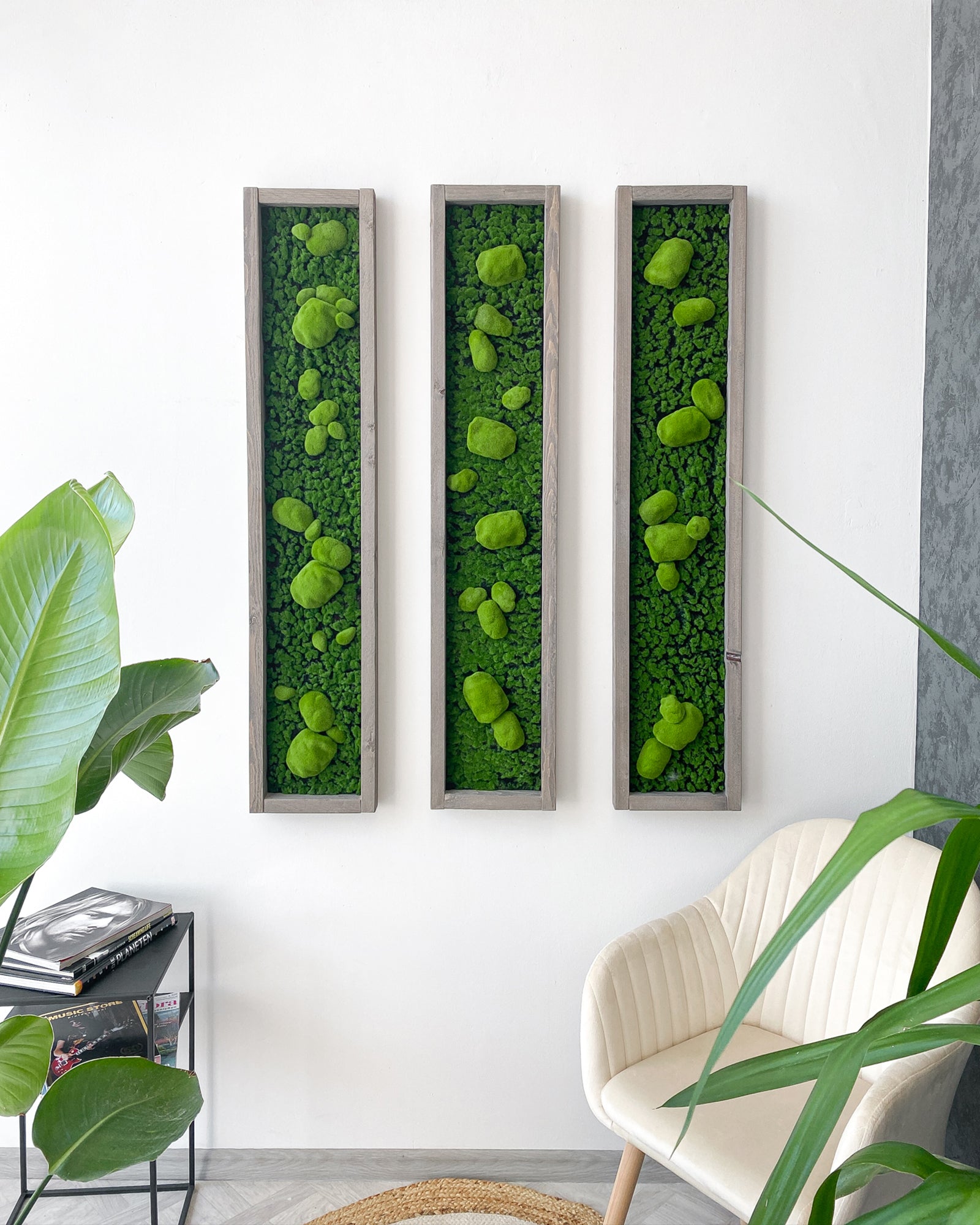 Mooswand Green Buns – Realtouch im Fichtenholzrahmen