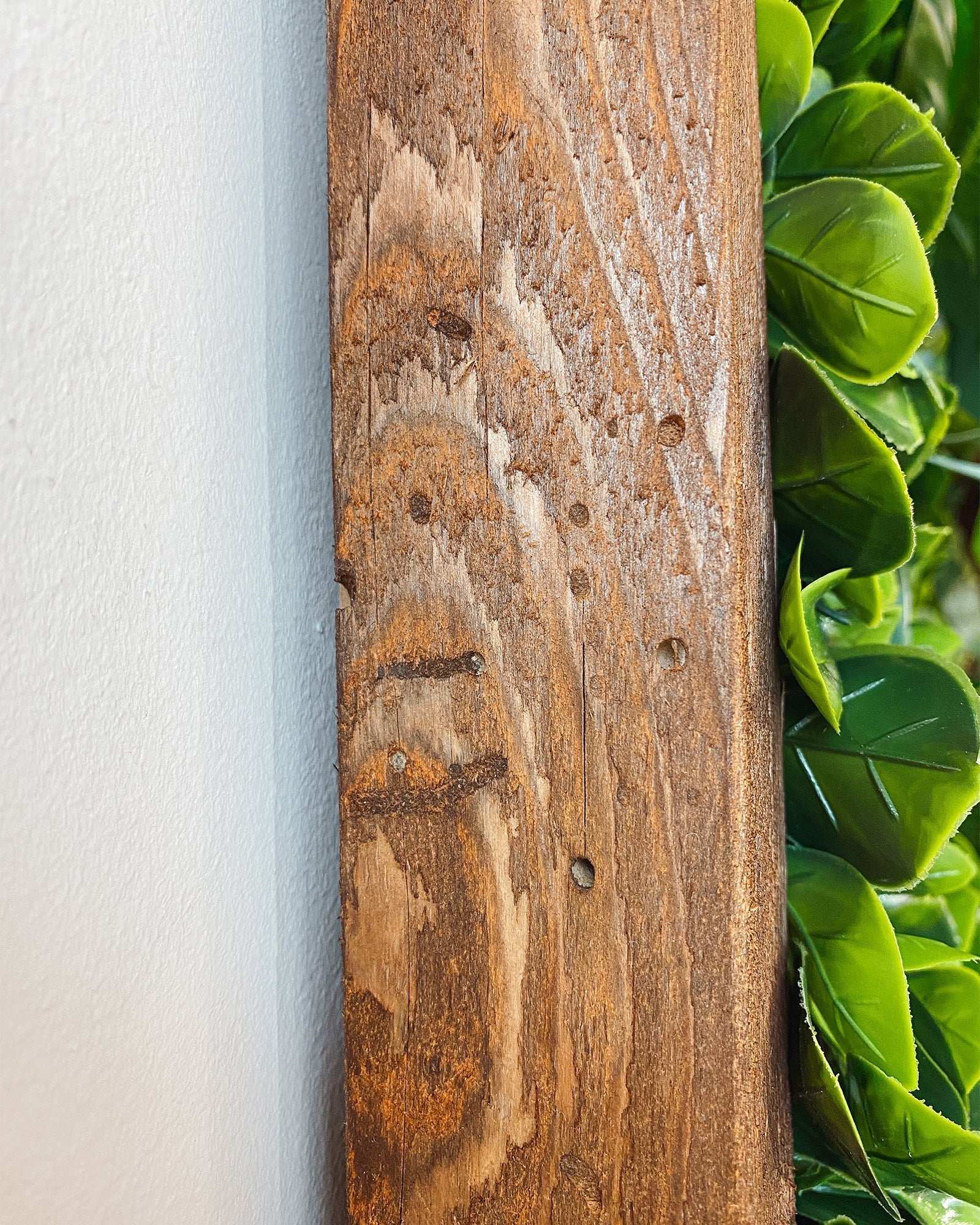 Pflanzenwand Yucatan – Realtouch im Fichtenholzrahmen