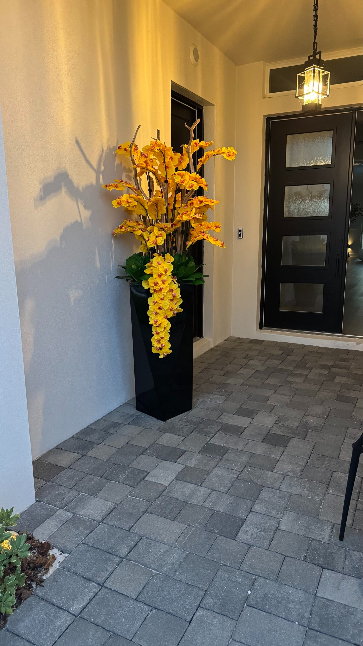 Orchideen Gelb Schwarz – Realtouch Orchideen-Arrangement