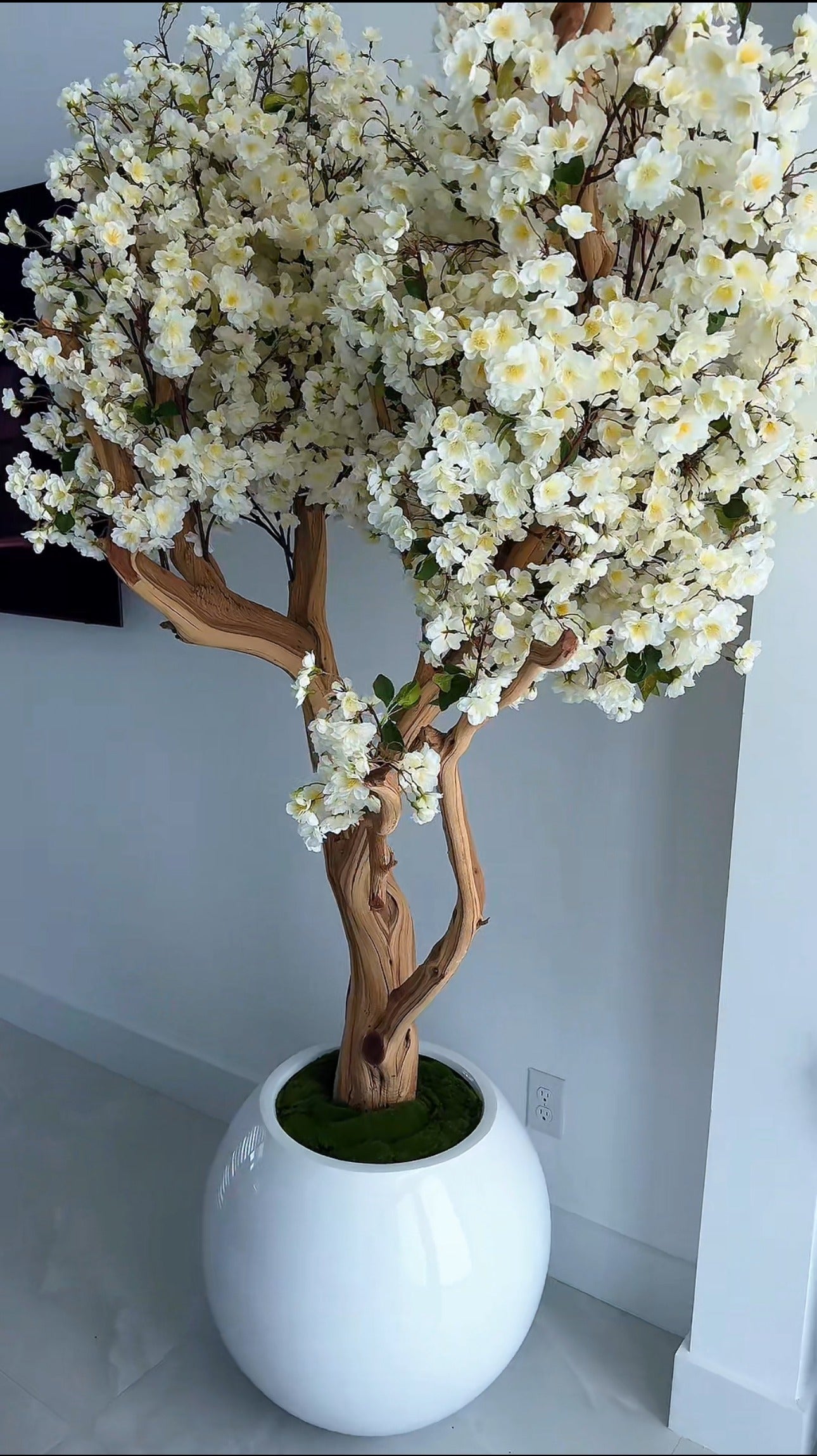 Kirschblütenbaum Weiss – Kunstbaum mit Realtouch-Blüten