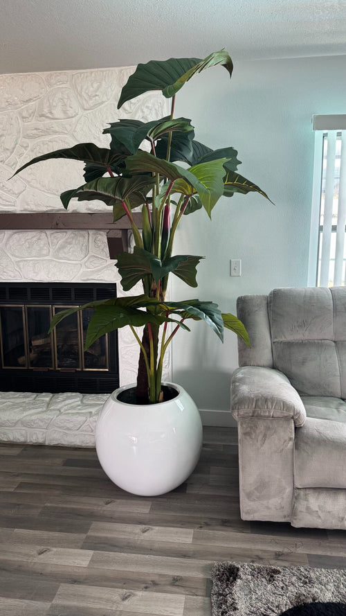 Alocasia Prince XL Rot – Realtouch Zimmerpflanze im Topf