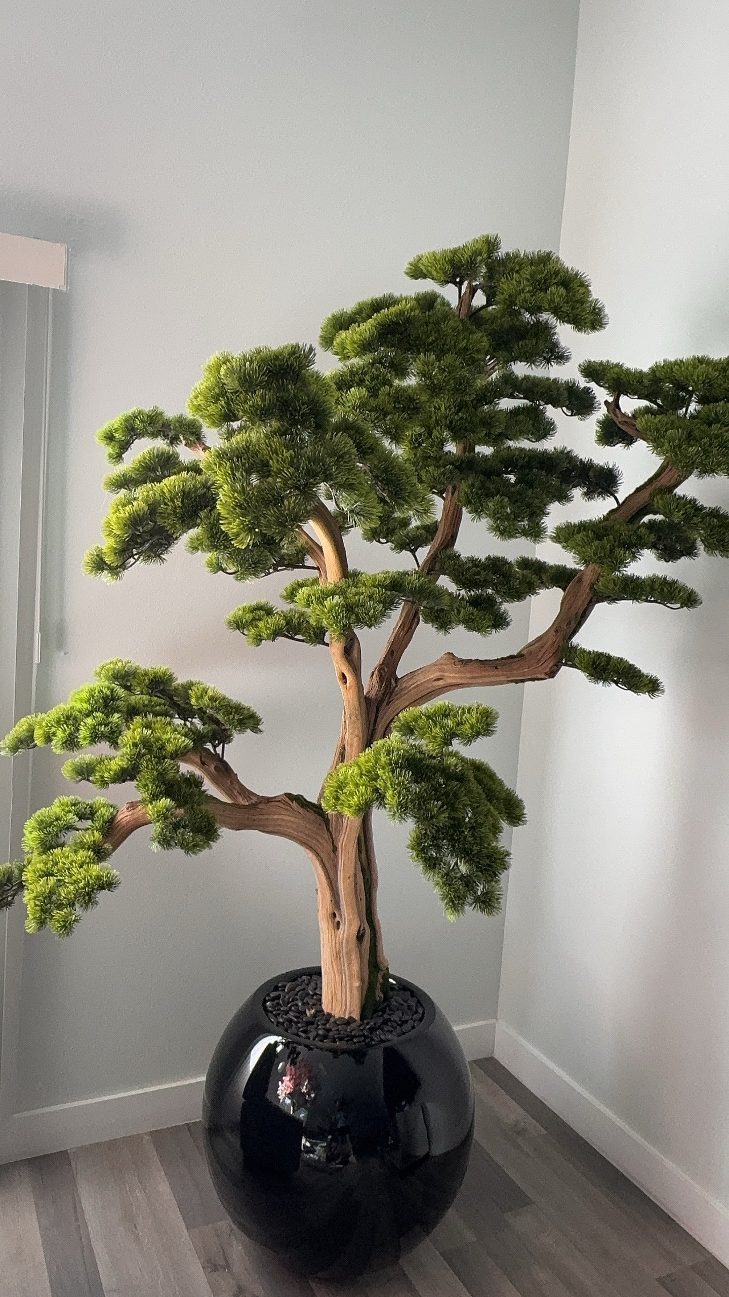 Bonsai Schwarz 180 cm – Kunstbonsai im Design-Pflanzgefäß