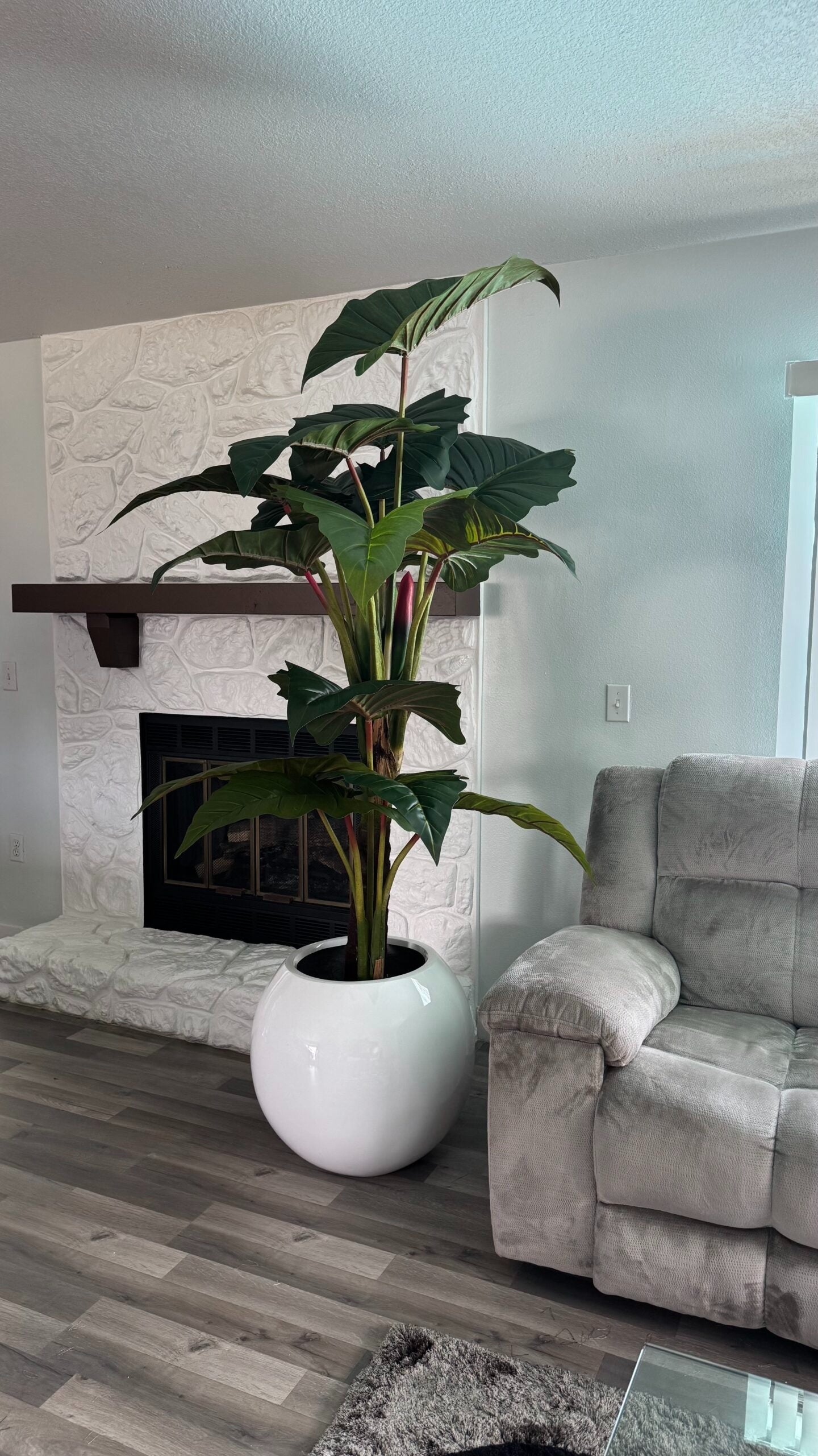 Alocasia Prince XL Rot – Realtouch Zimmerpflanze im Topf