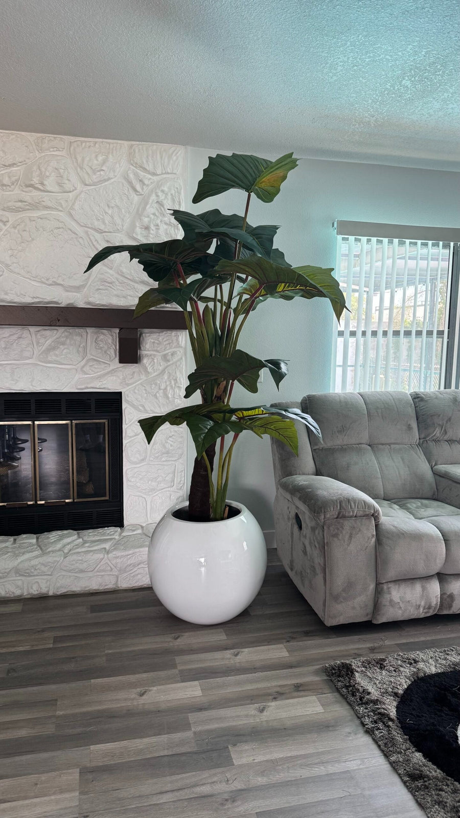 Alocasia Prince XL Rot – Realtouch Zimmerpflanze im Topf